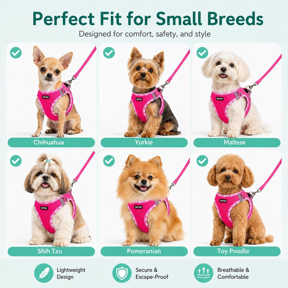 AMTOR Small Dog Harness with Leash Set, No Escape Easy Walk Puppy Harnesses for Training Walking, Step-in Reflective Soft Dogs Vest for XS S Medium Extra-Small Large Sized Dog(Fuchsia,S)