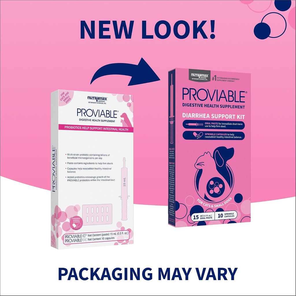 Nutramax Laboratories Proviable Digestive Health Supplement Kit with Multi-Strain Probiotics and Prebiotics for Cats and Small Dogs, with 7-Strains of Bacteria, 15 mL Paste and 10 Capsules