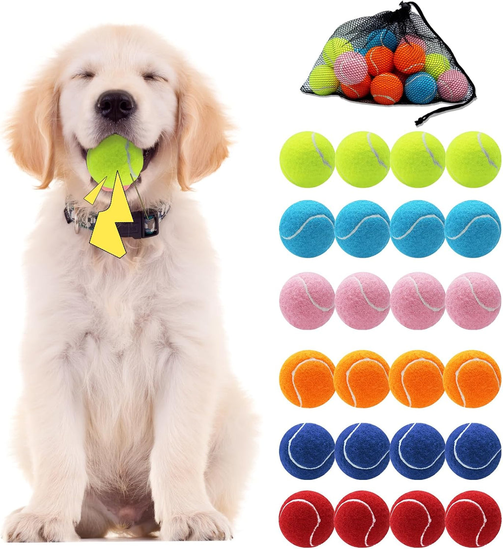 Swingers Squeaky Tennis Balls for Dog, 2.5 Inch Training Tennis Balls | Exercise Ball for Pet Dog with Mesh Carry Bag, Easy to Transport, For Interactive Play, Anxiety Relief