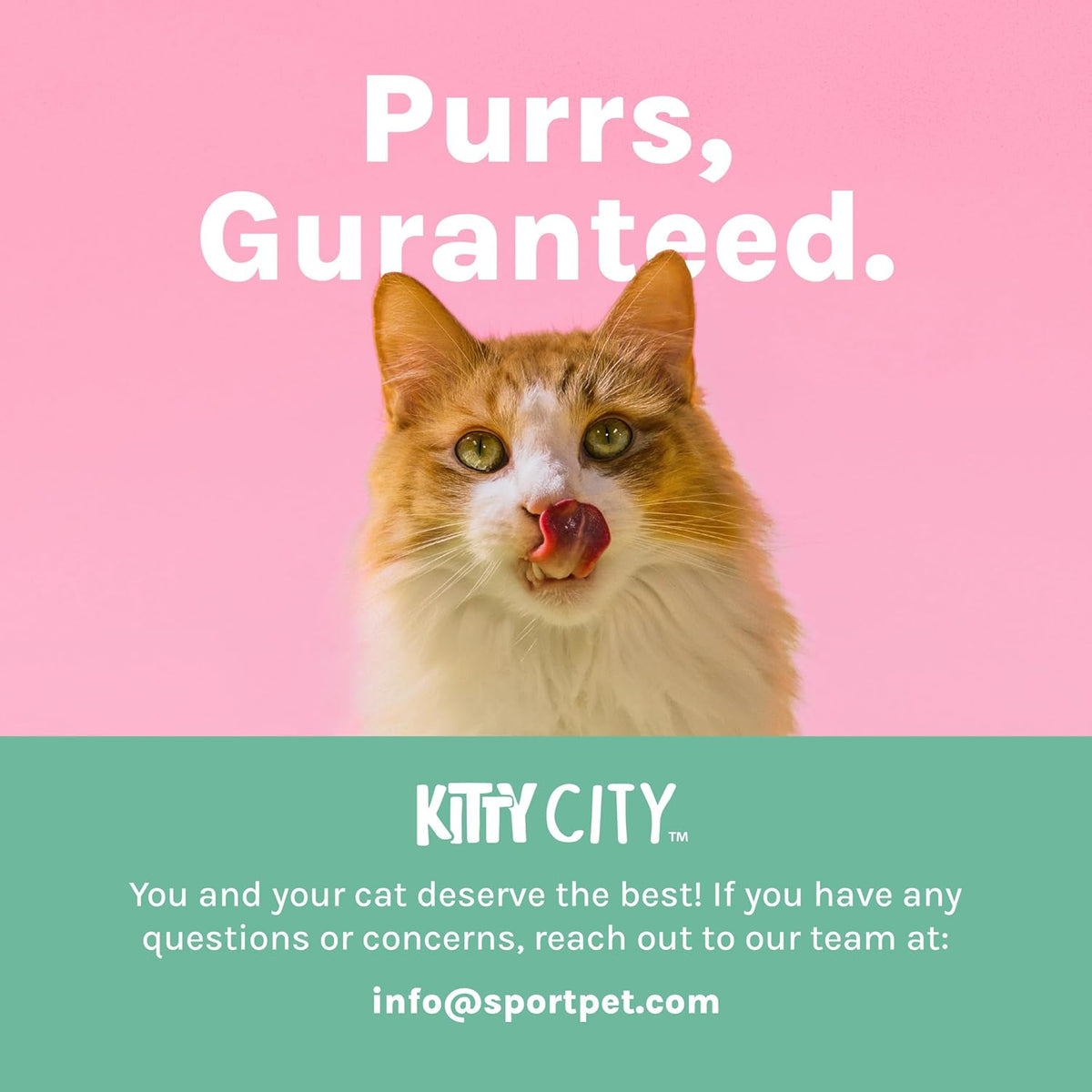 Kitty City Cat Premium Natural Catnip Collection, Catnip Bag 3-Pack