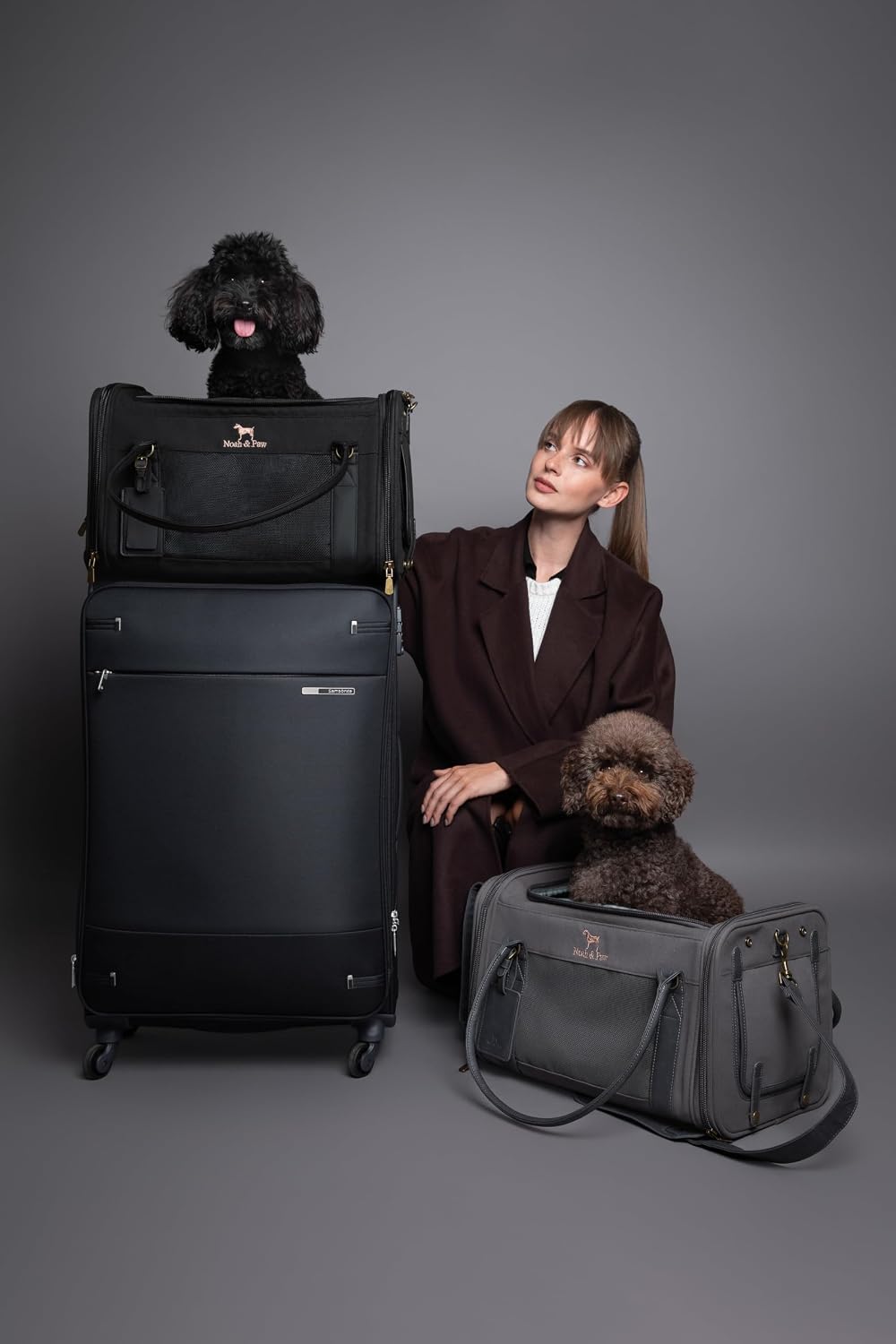 Noah & Paw Cat Carrier Soft Dog Carrier for Small Dogs TSA Airline Approved