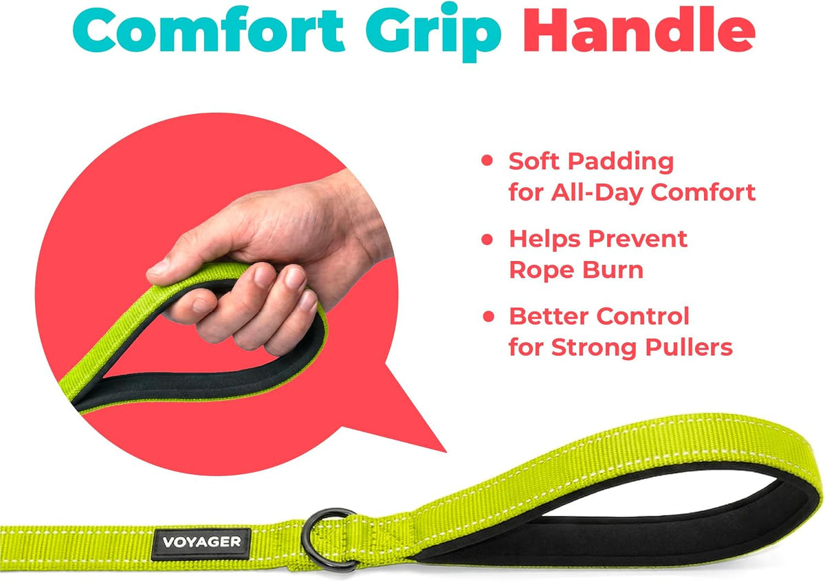 Best Pet Supplies Voyager Nylon Dog Leash - Lime Green, Small