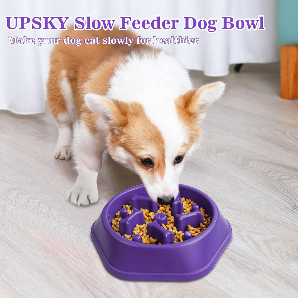 UPSKY Slow Feeder Dog Bowl Anti-Chocking Slower Feeding Pet Puzzle Bowls | Interactive Bloat Stop Dog Food Dishes, Non-Slide Dogs Lick Treat for Small Medium, Slow-Eating Maze Design, Easy to Clean 