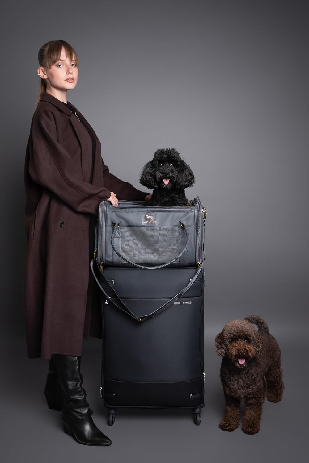 Noah & Paw Cat Carrier Soft Dog Carrier for Small Dogs TSA Airline Approved