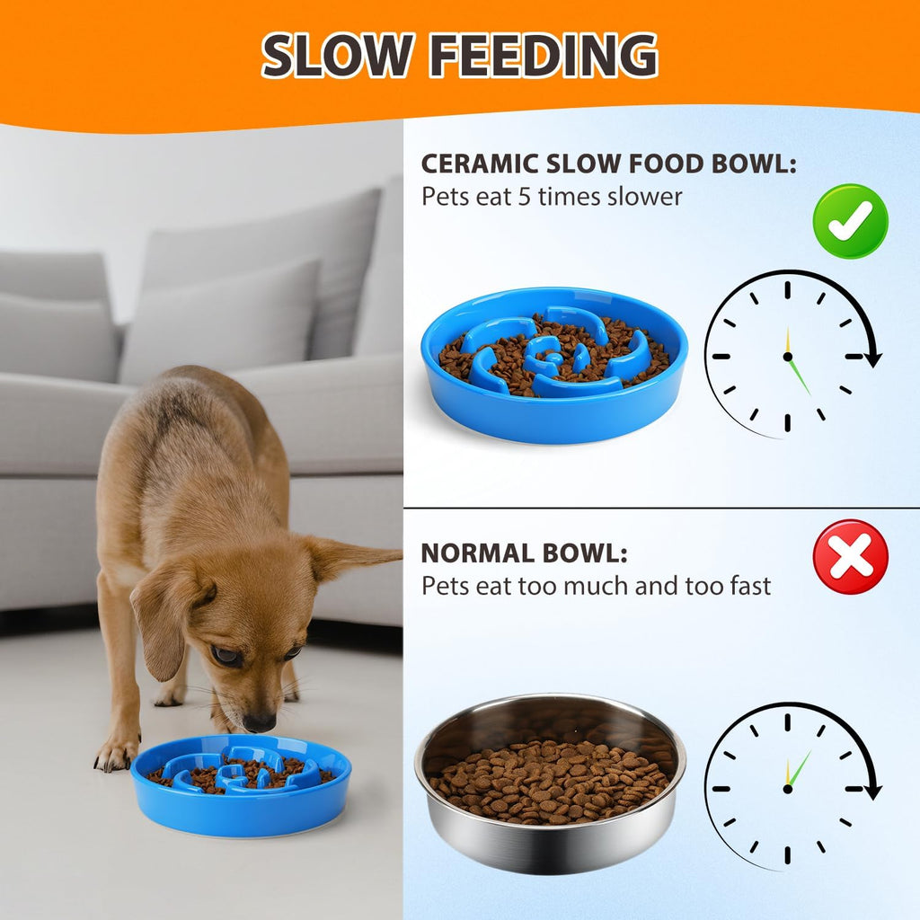 Ceramic Slow Feeder Dog Bowl, 2 Cups Maze Puzzle Dish to Slow Down Eating
