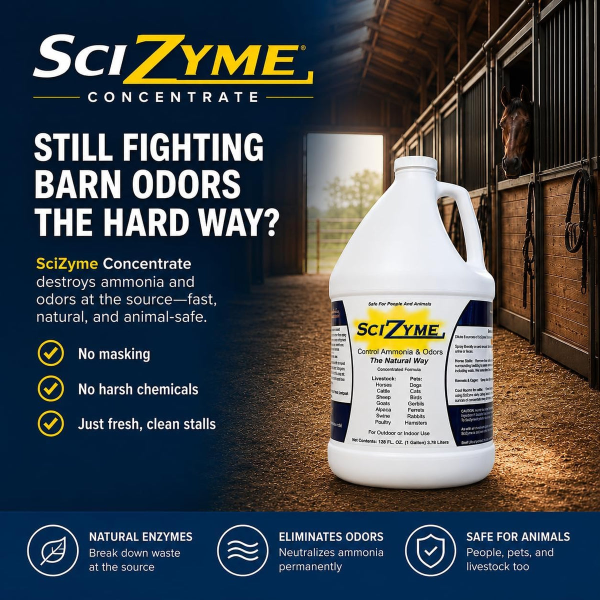SciZyme - Enzyme Based Eliminator & Control Odors & Ammonia in Cooler Rooms, Barns, Trailers, Kennels, Etc. (Makes 16 Gallons)