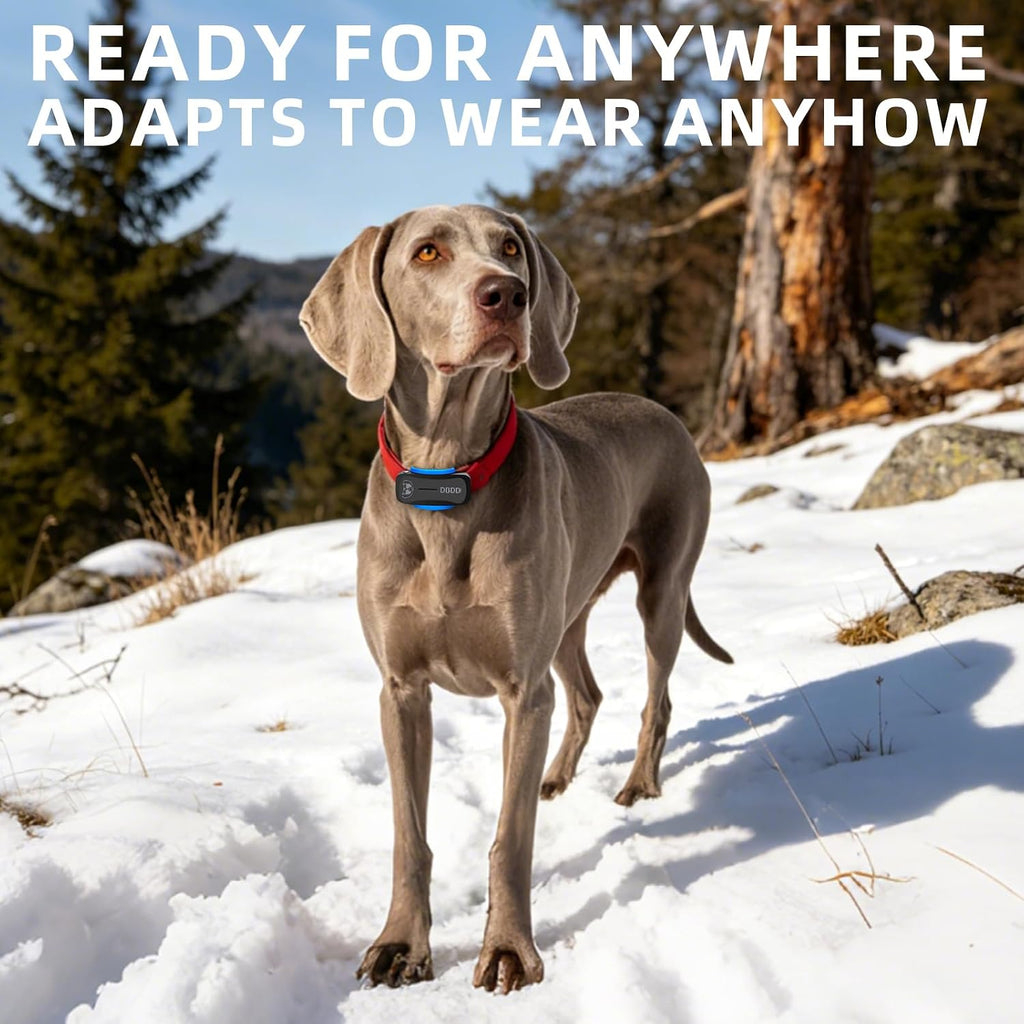 DBDD GPS Dog Trackers, 12 Mon Sub, Real-Time Loc, E-Fence, Health Monitor