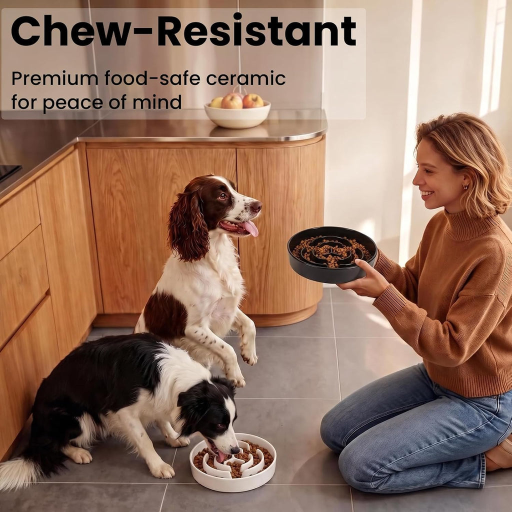 2 Pack Ceramic Slow Feeder Dog Bowls 1.6 Cups for Medium & Small Fast Eater