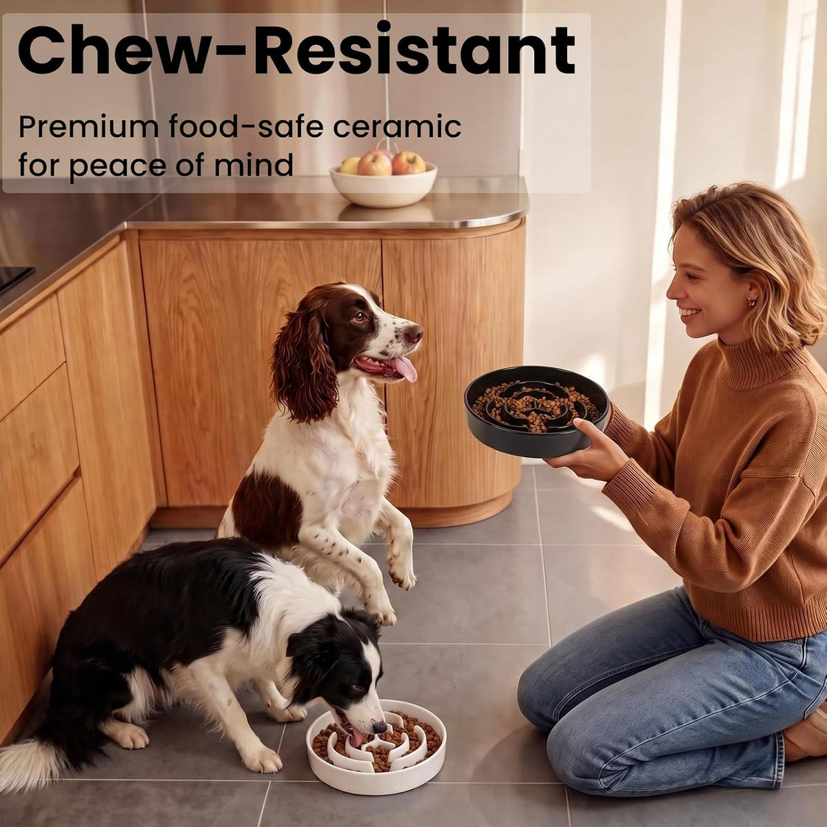 2 Pack Ceramic Slow Feeder Dog Bowls 1.6 Cups for Medium & Small Fast Eater