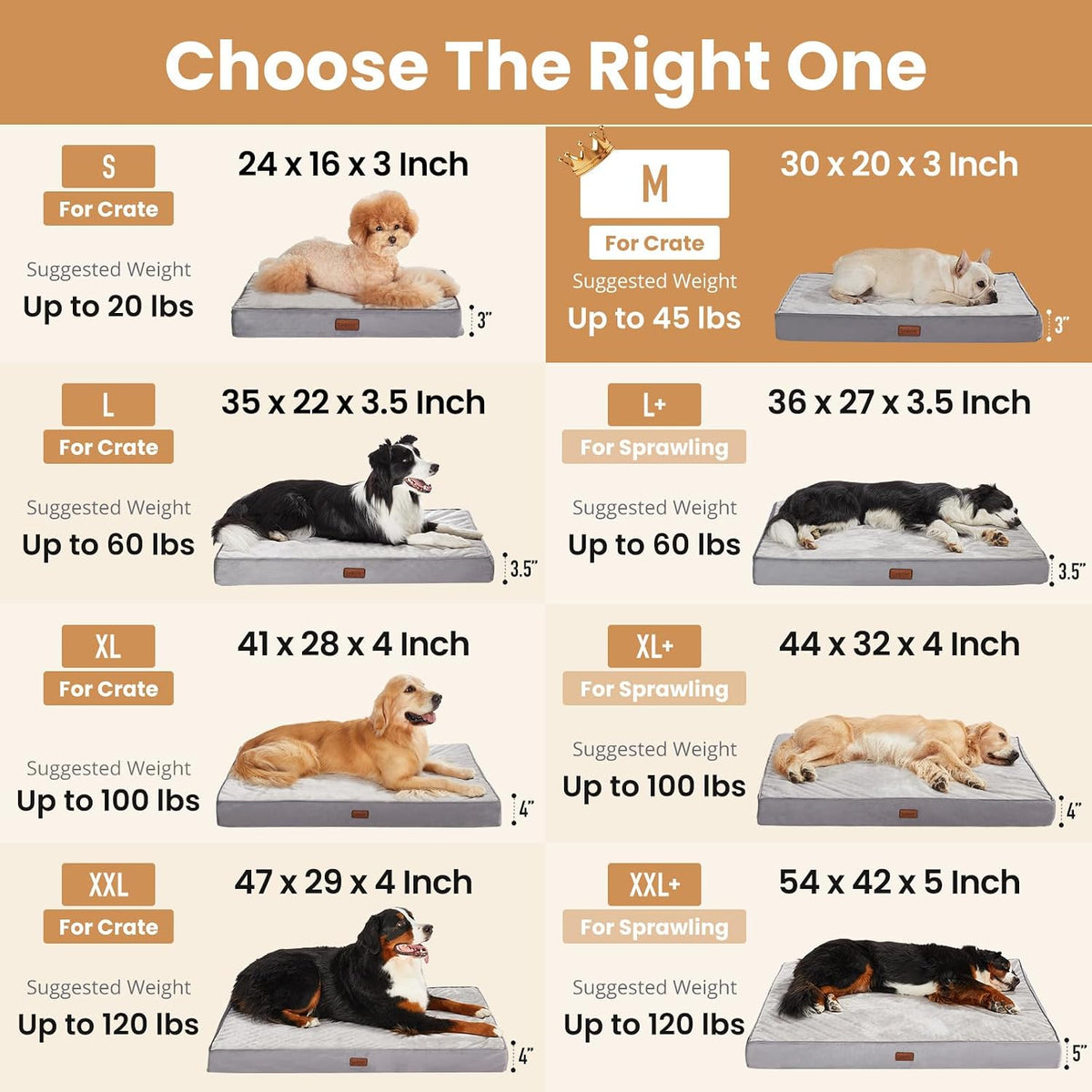OhGeni Orthopedic Medium Dog Bed, Reversible Memory Foam, 30 inch-M(Pink)