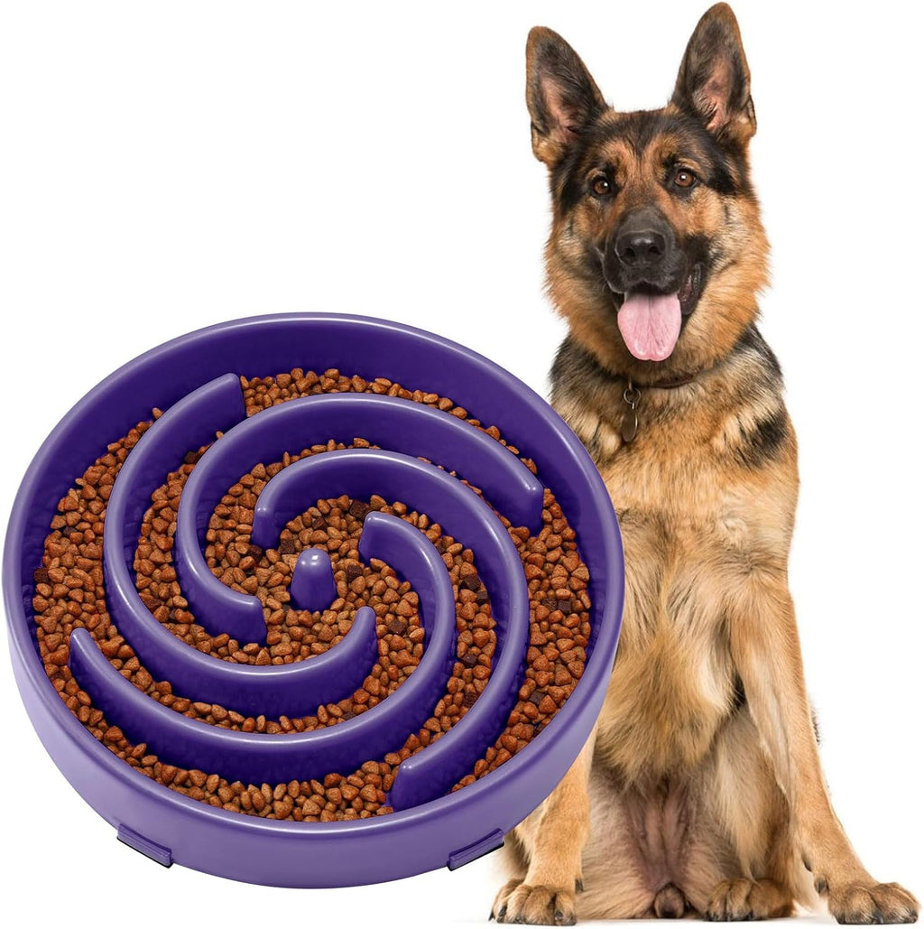JASGOOD Slow Feeder Bowl for Large Dogs, Anti-Gulping Pet Bowl, Prevents Bloat & Choking 