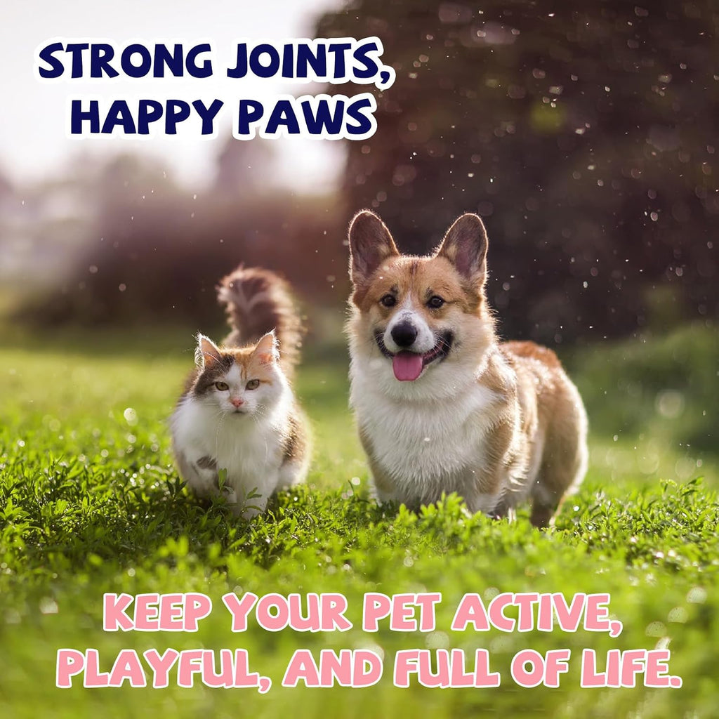 CFILIHTC 2 Pack Joint Drops for Dogs with Glucosamine, Chondroitin, MSM & Omega-3 – Pets Liquid Joint Supplement for Dogs & Cats – Hip, Joint, Mobility, Skin & Coat Support – Chicken Flavor