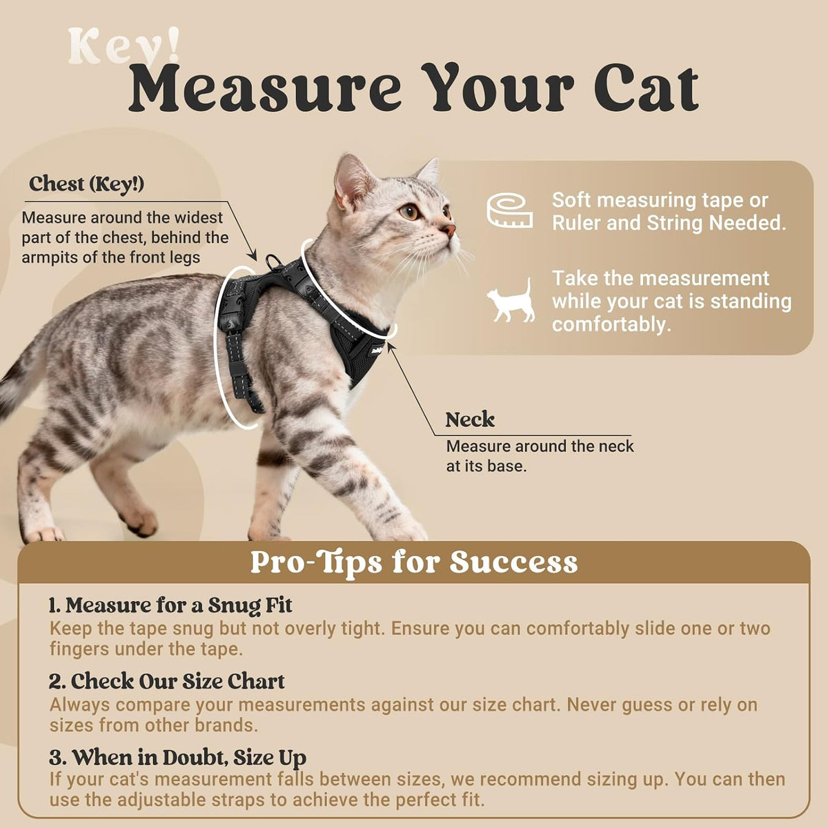 rabbitgoo Cat Harness and Leash, Easy-on with Neck Buckle, Black