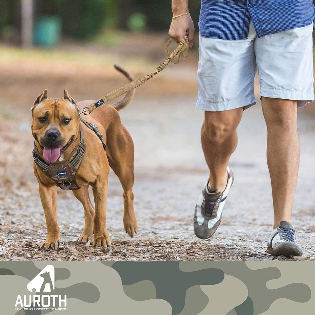 AUROTH Bungee Dog Leash for Large Dogs, No Pull for Shock Absorption