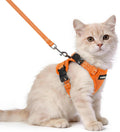 rabbitgoo Cat Harness and Leash, Easy-on with Neck Buckle, Orange