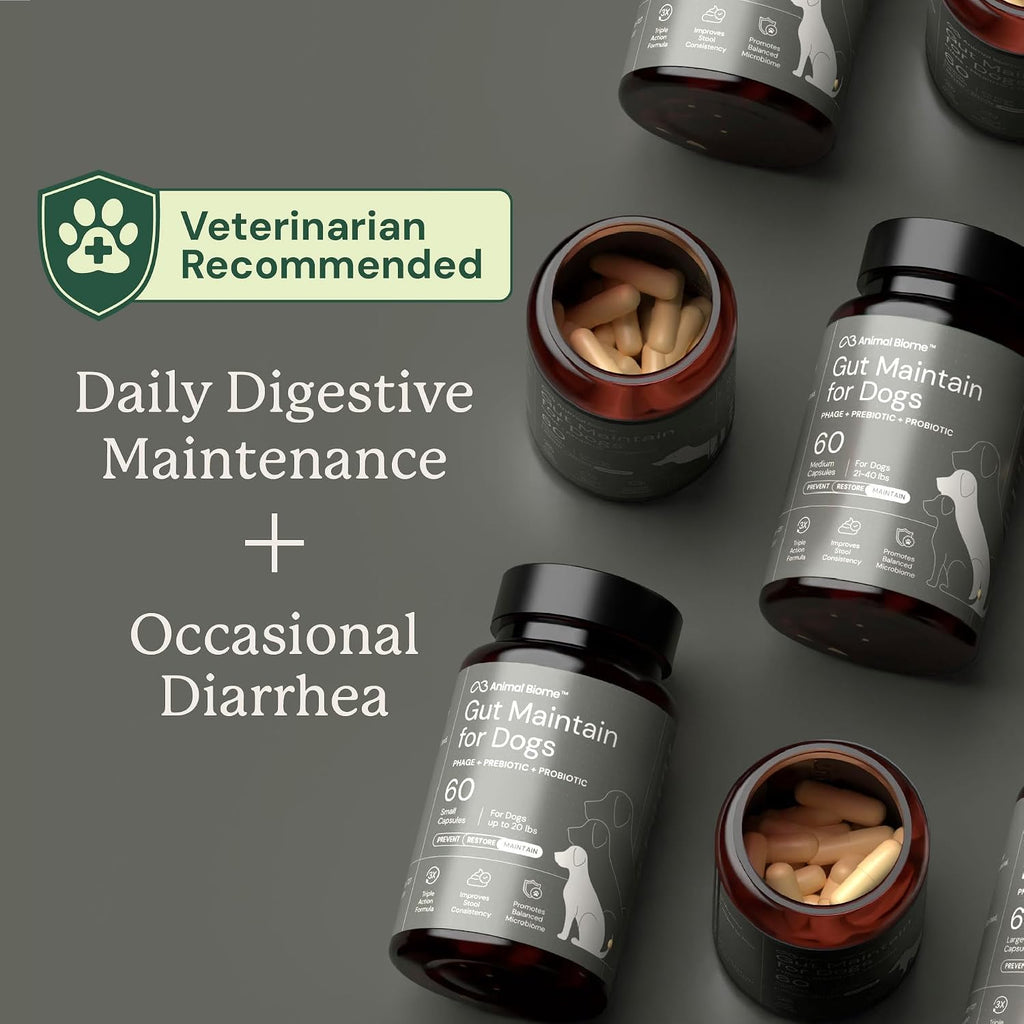 Animal Biome Small Dog Pre and Probiotics, S Boulardii, Gut Maintain, 60 Ct