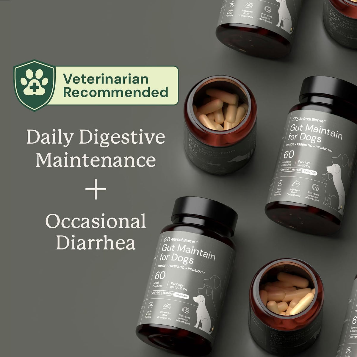 Animal Biome Medium Dog Pre & Probiotics, S Boulardii, Gut Maintain, 30 Ct