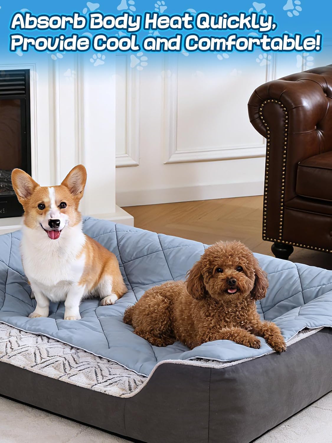 40x60in Cooling Blanket for Dogs - Machine Washable Blanket with Q-MAX>0.4