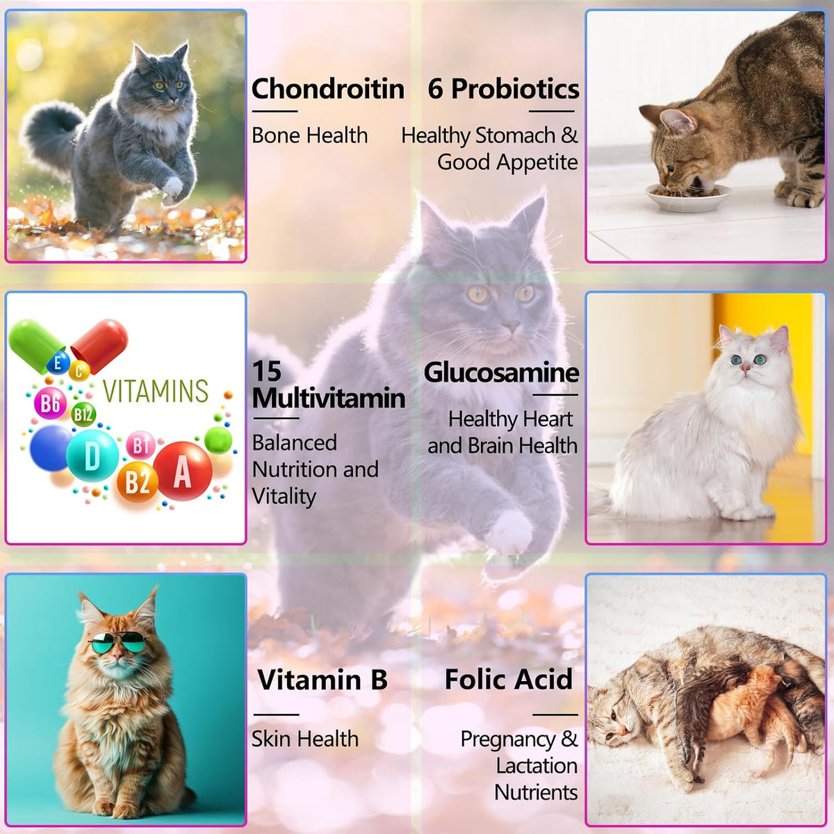 VOSIFSDIY Cat Multivitamin,15 in 1 Cat Vitamins Liquid Drops Supplements for Heart Health, Bones, Joint, Skin & Coat, Bladder, Immune System Support 60ml-2pcs