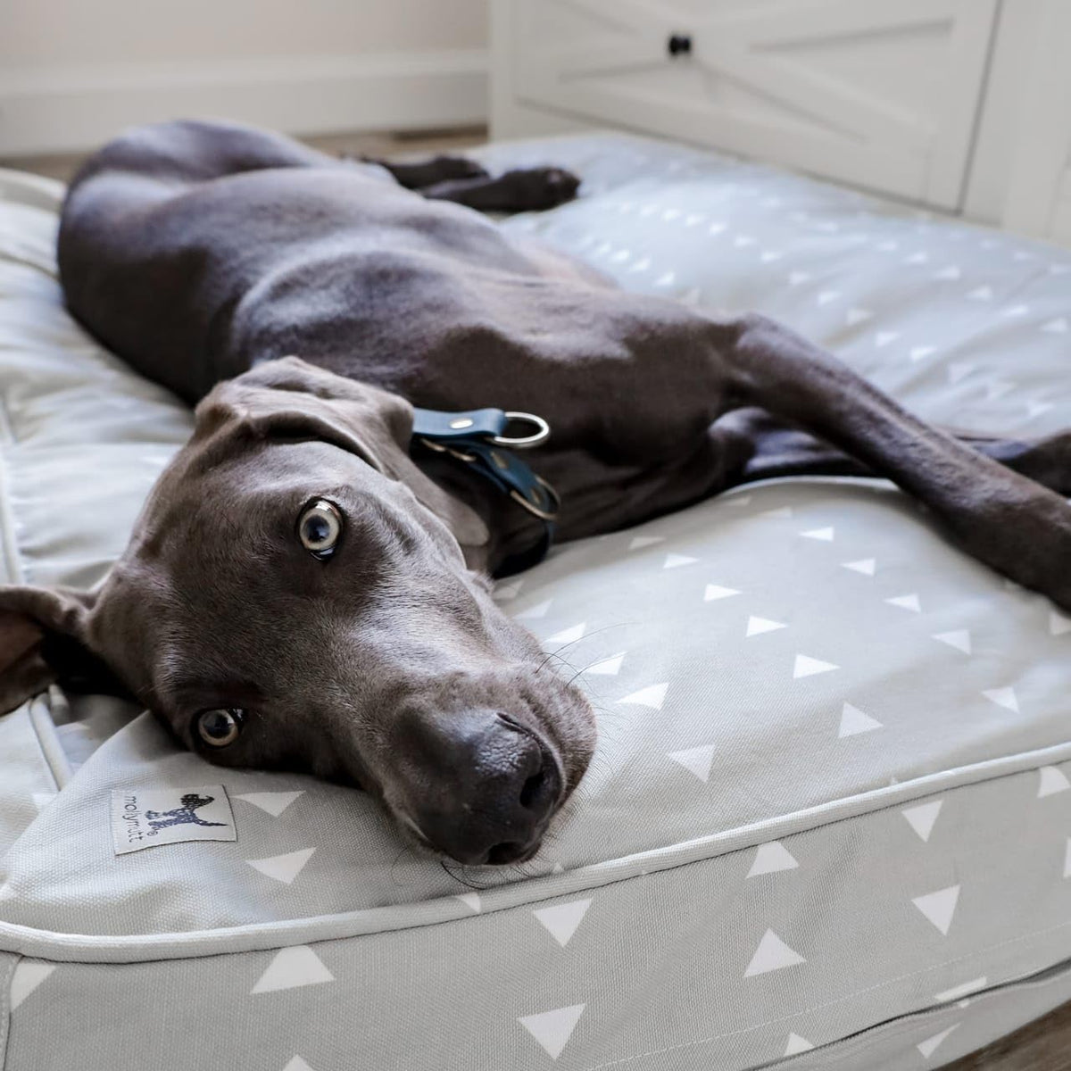 Molly Mutt Light Gray Dog Bed Cover, Non-Toxic & 100% Cotton, 27"x36"x5"