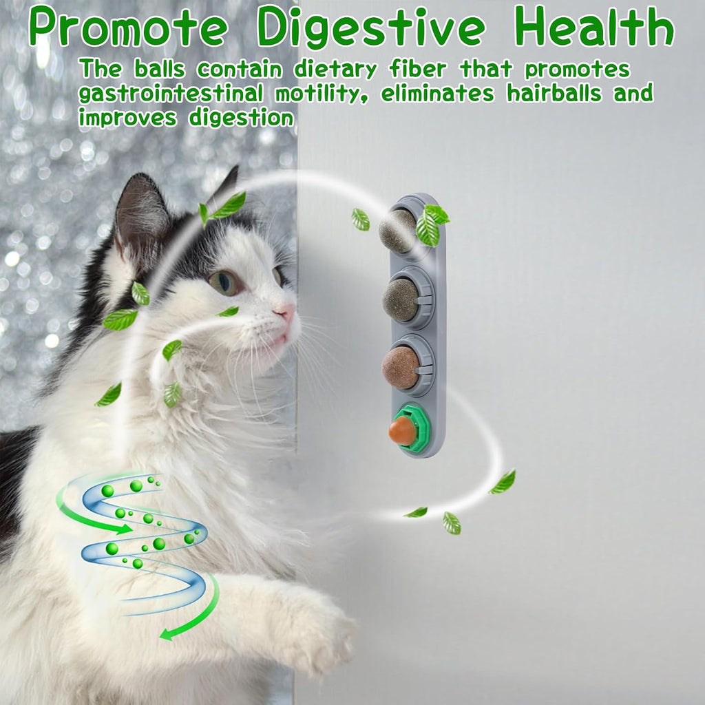 CCINEE Catnip Balls for Cats Wall Catnip Toys Edible Cat Toys for Cat Lick Safe Healthy Kitten Chew Toys Teeth Cleaning Dental Cat Toys(4 Flavor)