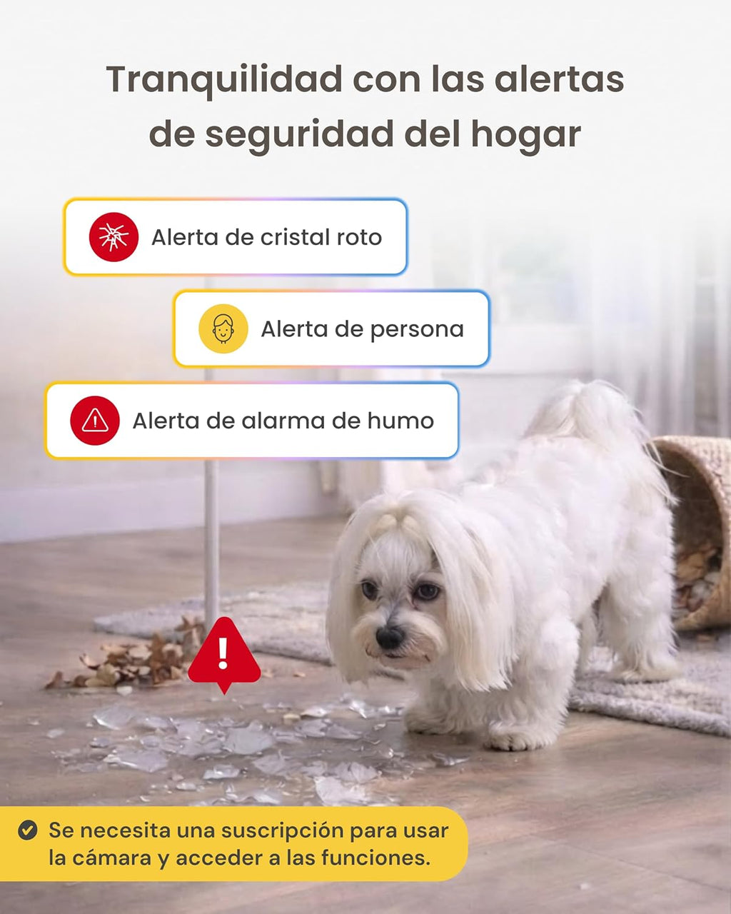 Furbo 360° Dog Camera + Mini 360° Cam [New Subscription Required at Setup] 2-Camera Bundle Nanny Subscription: Dog Safety Alerts, Pet Camera with Speaker, Phone App & Night Vision