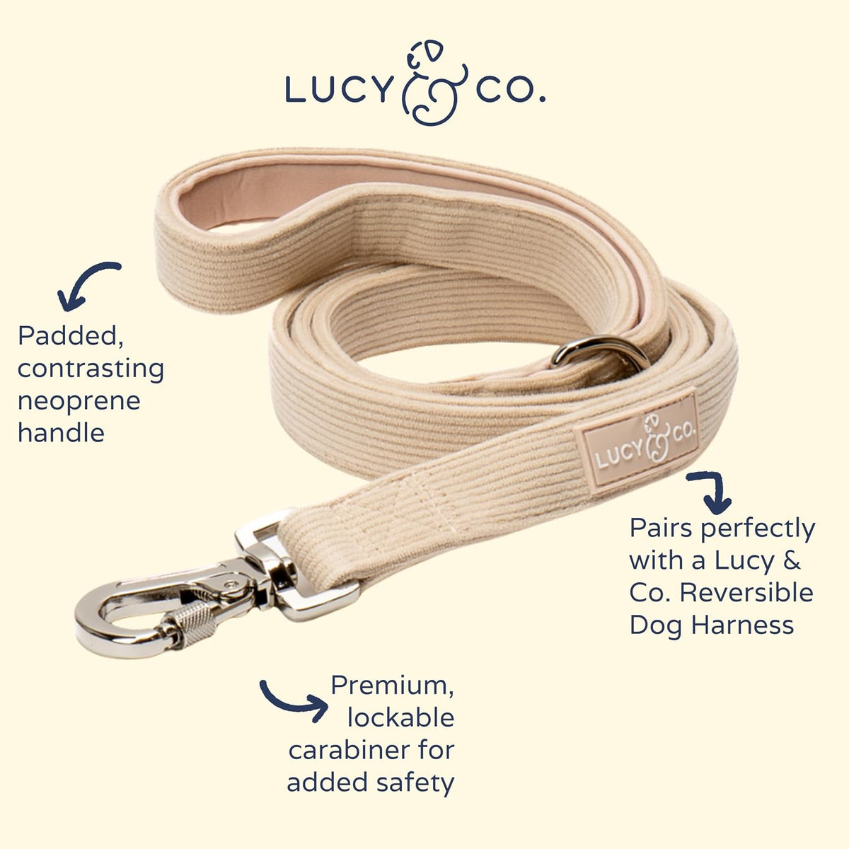 Lucy & Co. Oh My Gourd Corduroy Dog Leash, L