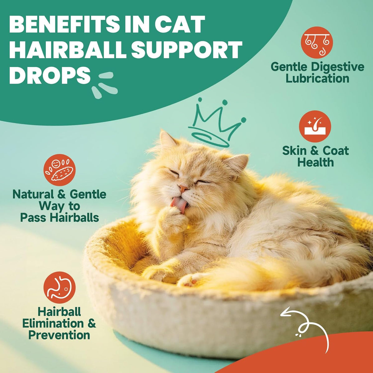2-Pack Hairball Treatment for Cats, Cat Hairball Remedy, 120ML