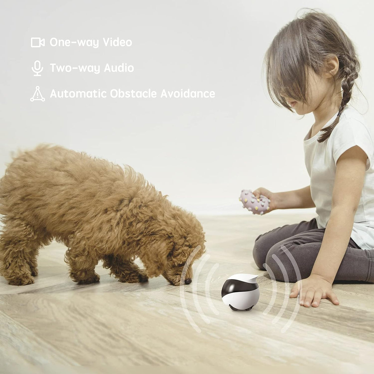 Enabot EBO SE Home Robot Camera: 1080P Mobile FamilyBot Pet Companion