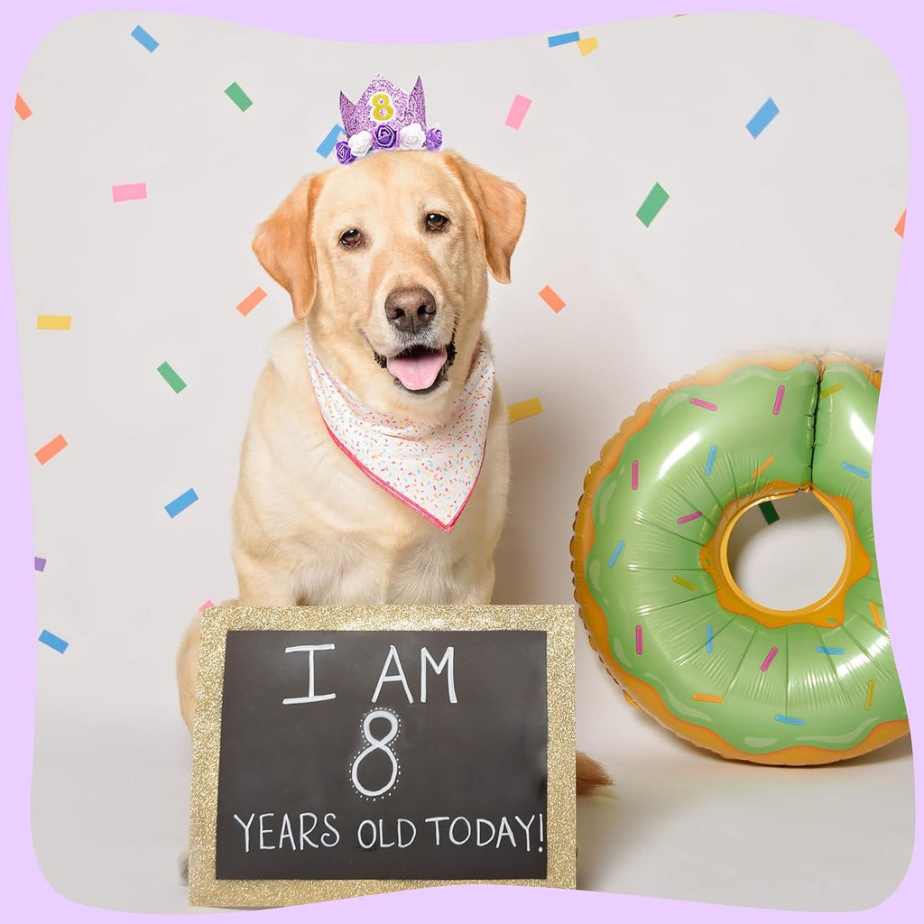 PET SHOW Purple Crown Dog Birthday Party Hat for Girls Reusable Party Supplies Cat Kitten Headband with 0-9 Figures Charms Costume Accessories with Glue