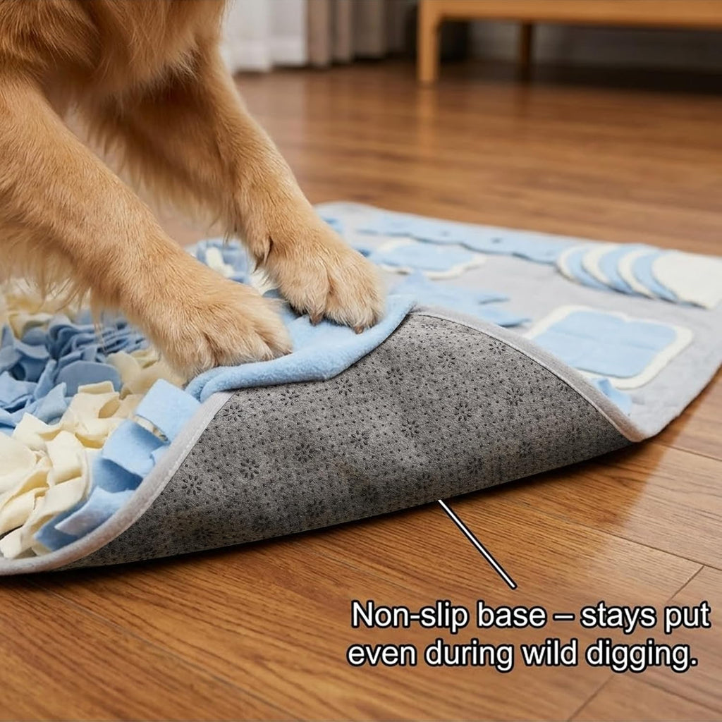 Snuffle Mat for Dogs: Slow Food Interactive Experience
