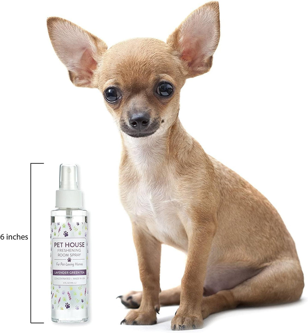 Lavender Green Tea Concentrated Room Spray for Pet Odor, Pack of 1