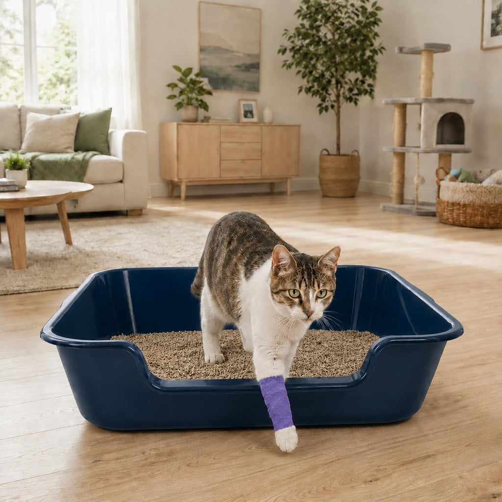 Extra Large Low Entry ABS Cat Litter Box, Blue, 24" L x 20" W, 1 Pack | Durable low entry litter box, non-stick, odor-free, ideal for seniors, kittens, rabbits, large cats and multi-pet homes.