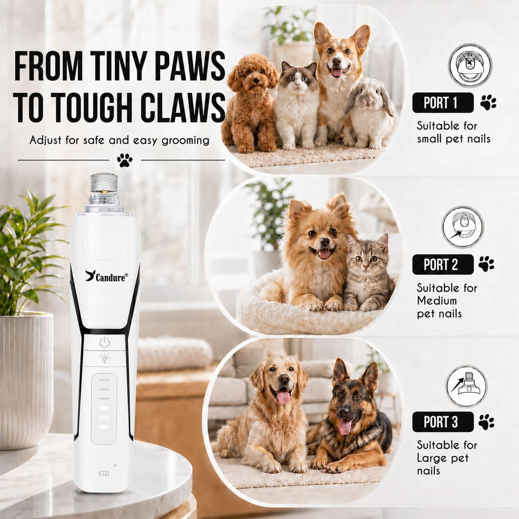 Candure Whisper Quiet Dog Nail Grinder with 360 Degree LED Light, 6-Speed Rechargeable Pet Nail Trimmers with Extra Grinding Head for Safe, Stress-Free Grooming for All Pet Sizes (White)