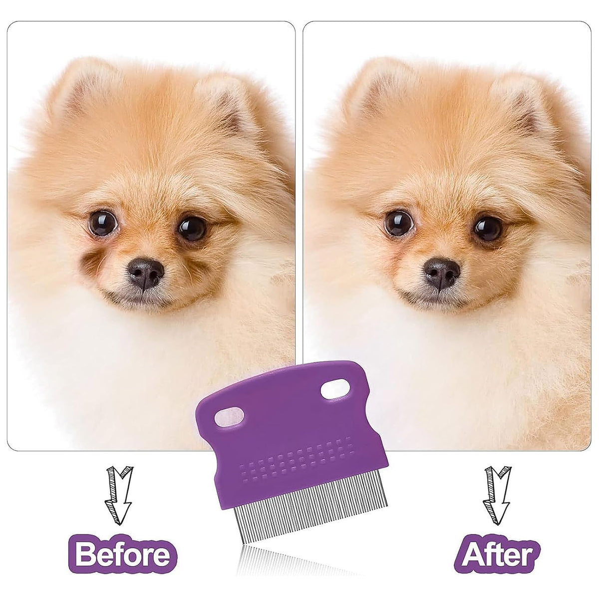 Fullhawl 5 Pcs Dog Eye Combs Tear Stain Remover Combs, Purple, Black