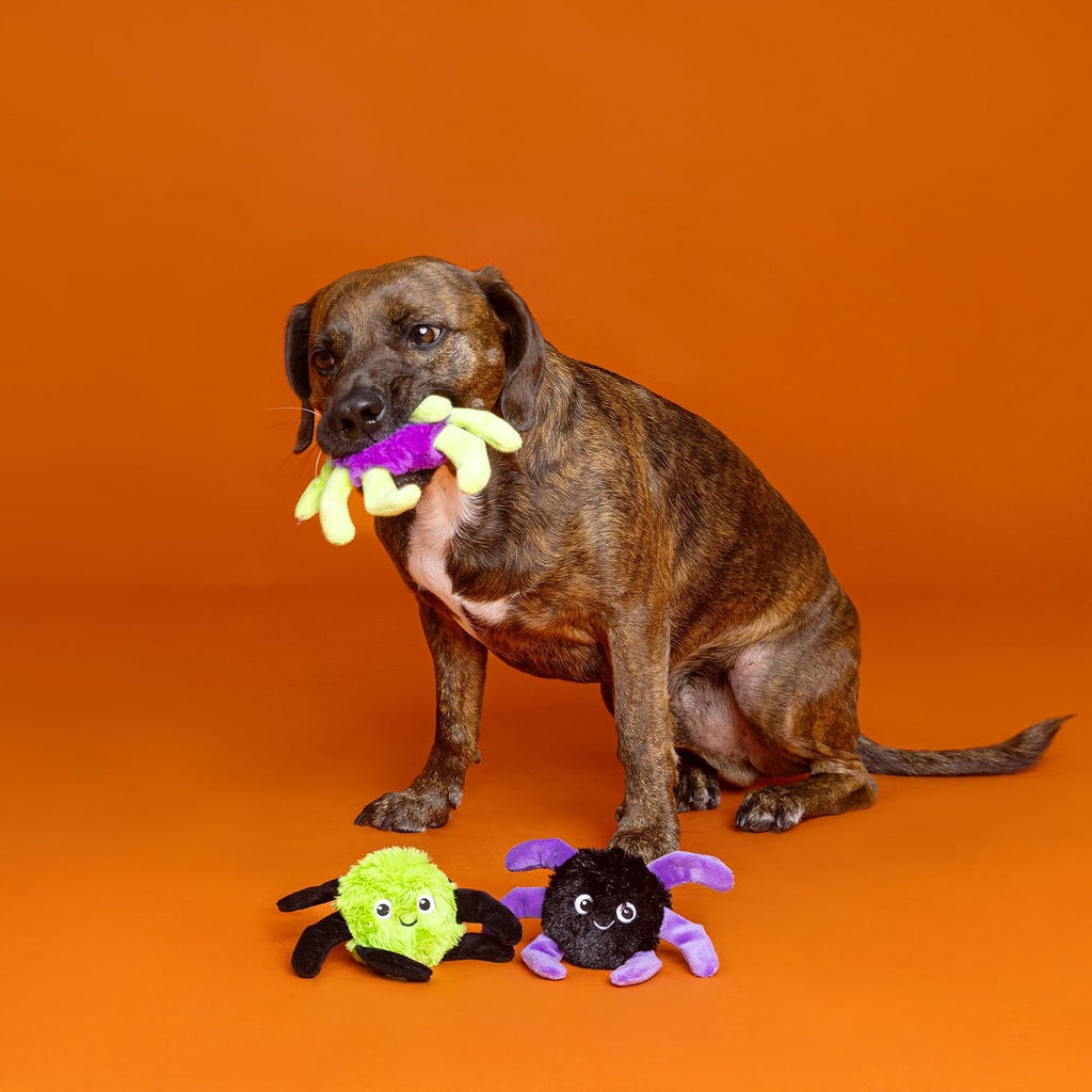 Fringe Studio Pet Toy, Webbed in Mischief Plush Dog Toy 3 PCS Set, PetShop Collection (662190)