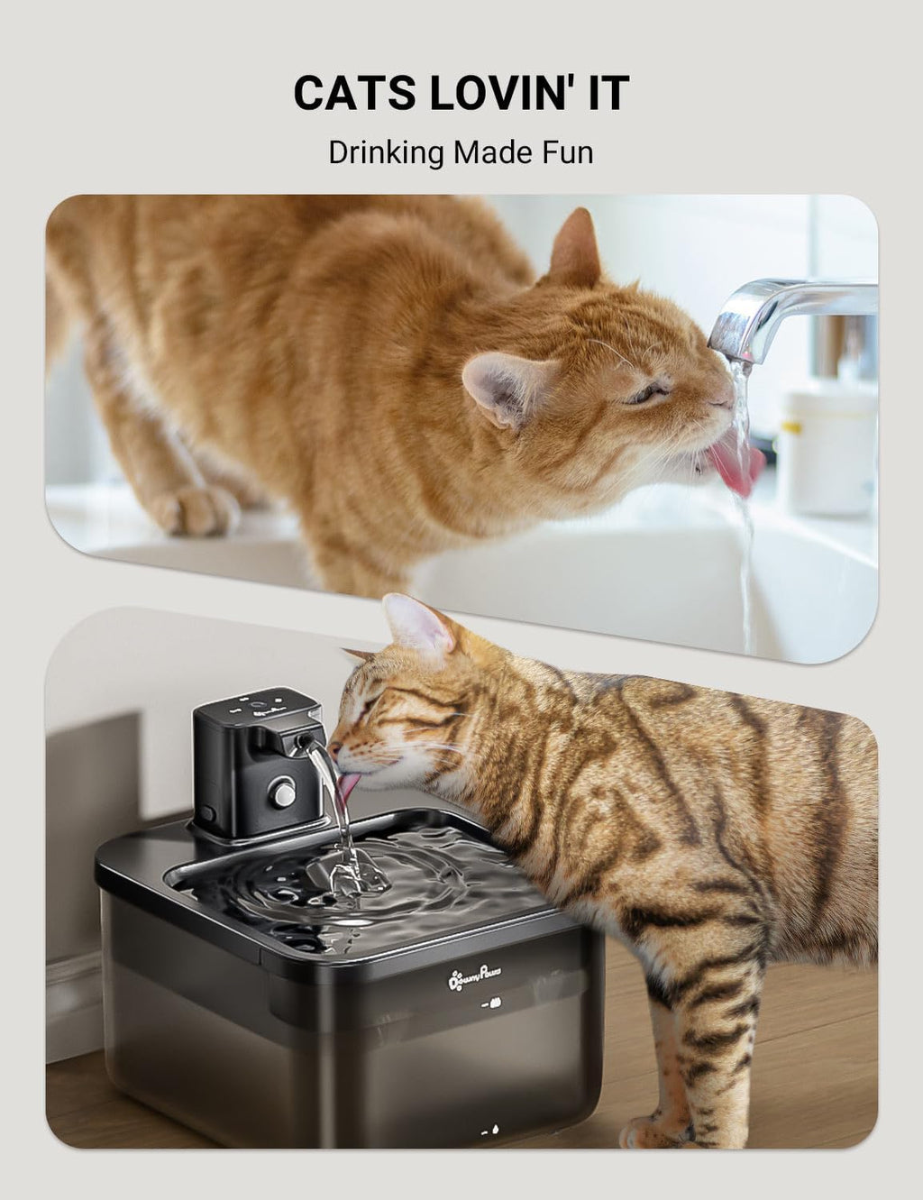 DownyPaws Cat Water Fountain Cordless, Pet Fountain, Black, 6 Filters