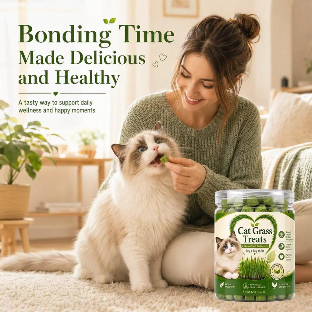 Cat Grass Treats for Indoor Cats, Natural Hairball Control Snacks with Catnip, Healthy Chewable Grass Pellets for Digestive Support