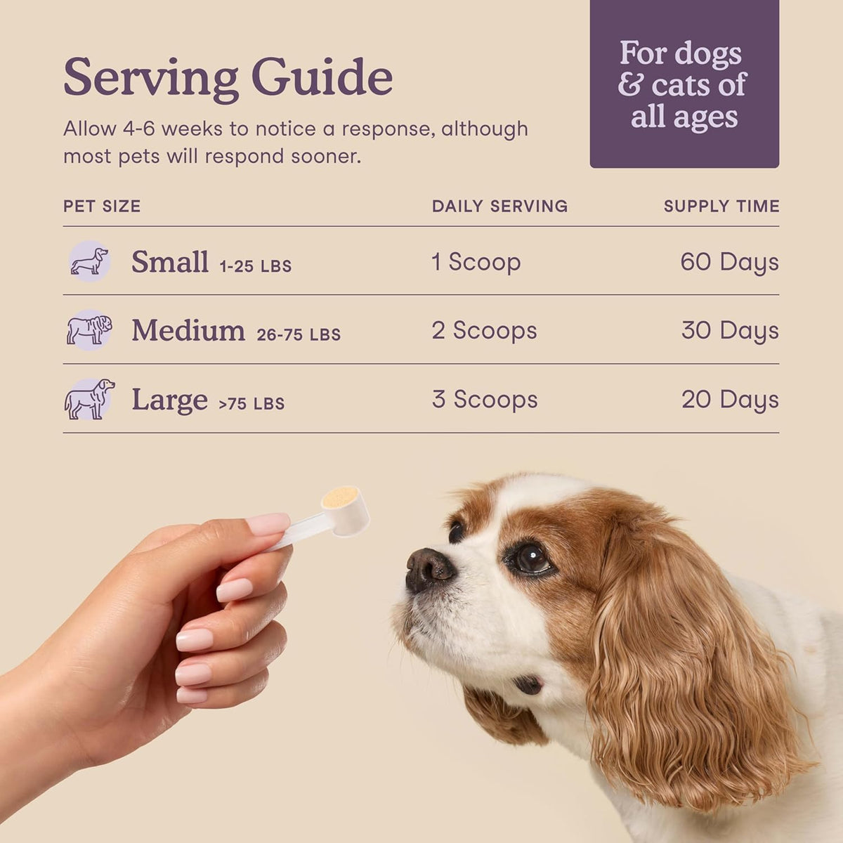 Fera Pets Dog & Cat Calming Supplement - Pet Relaxation Powder, 60 Scoops
