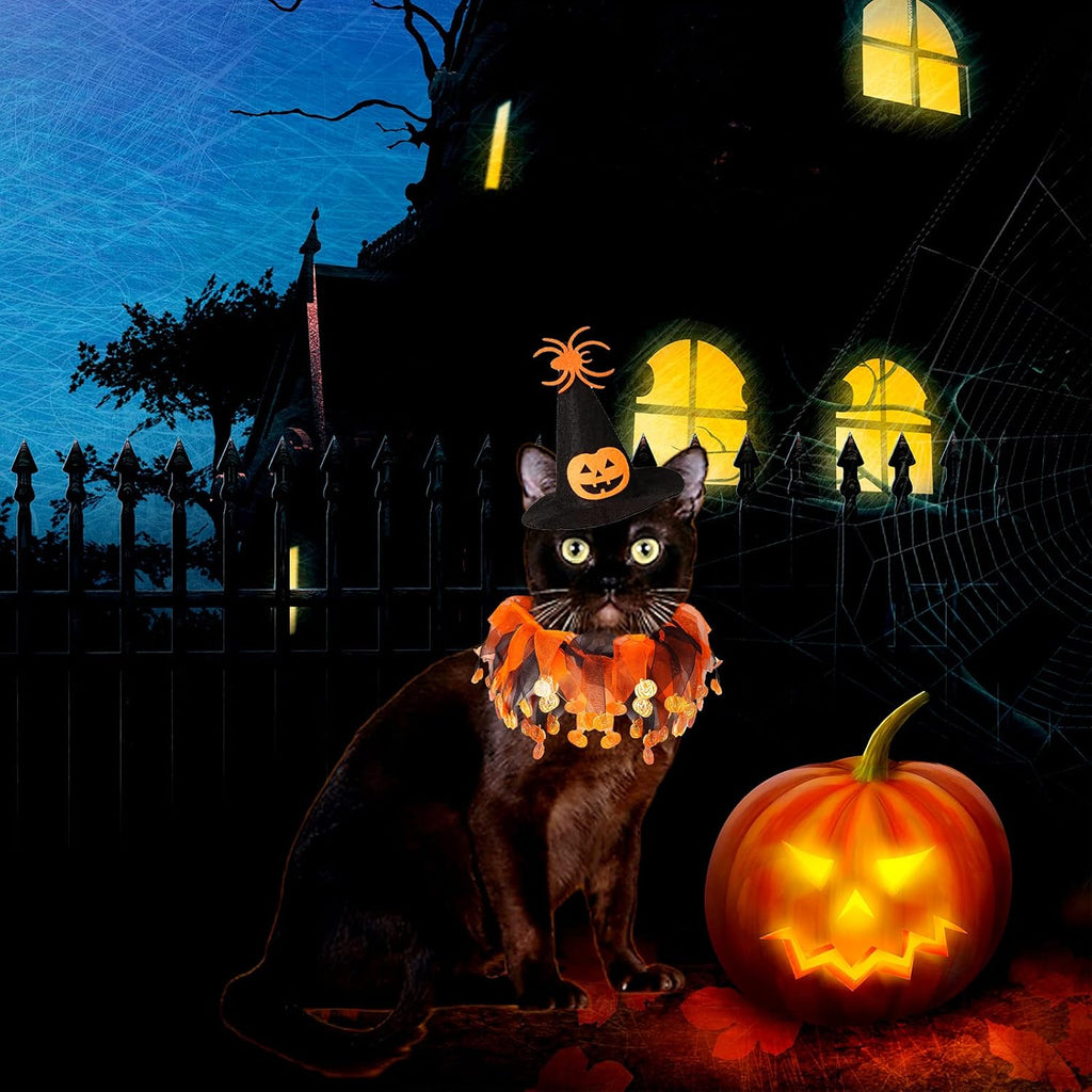 Cat Witch Halloween Costume Suit, Hmxpls Small Dogs & Cats Tutu Collar and Witch Pumpkin Hat Cute Costume Suit Kitten Outfit Clothing for Birthday Party Thanksgiving Christmas Holiday