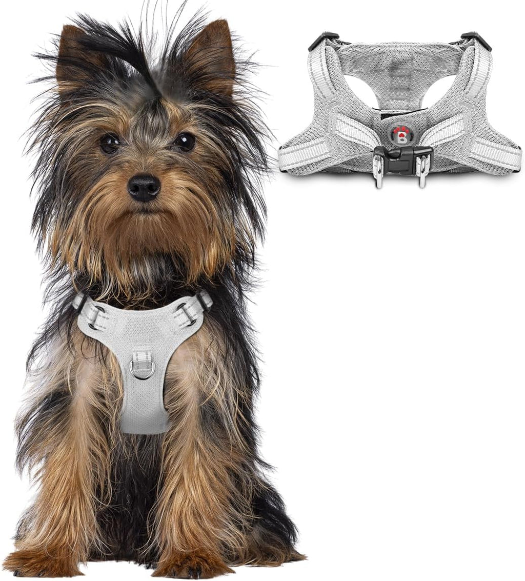 BARKBAY Small Dog Harness,No Pull Puppy Harness,Step-in Dog Vest