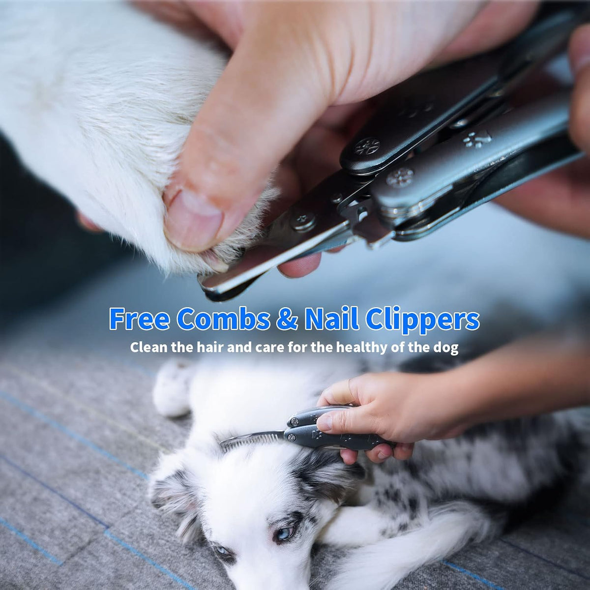 Best Dog Nail Clippers for Anxiety Sensitive Dogs with Thick Nail