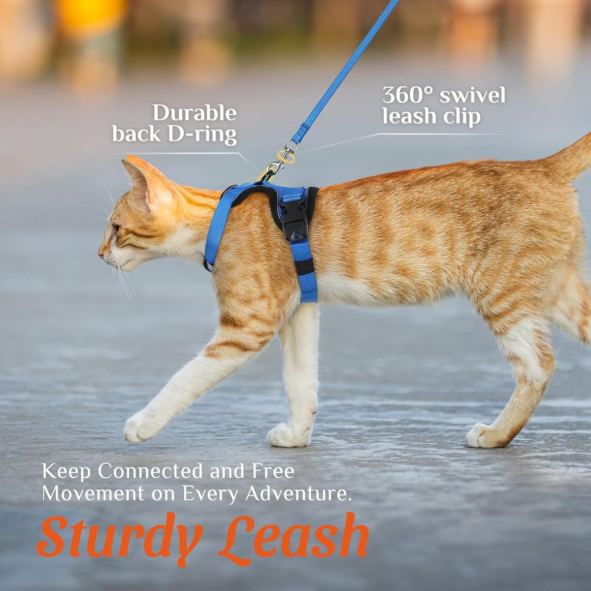 Dooradar Cat Harness and Leash Set with Neck Release Buckle, Royal Blue