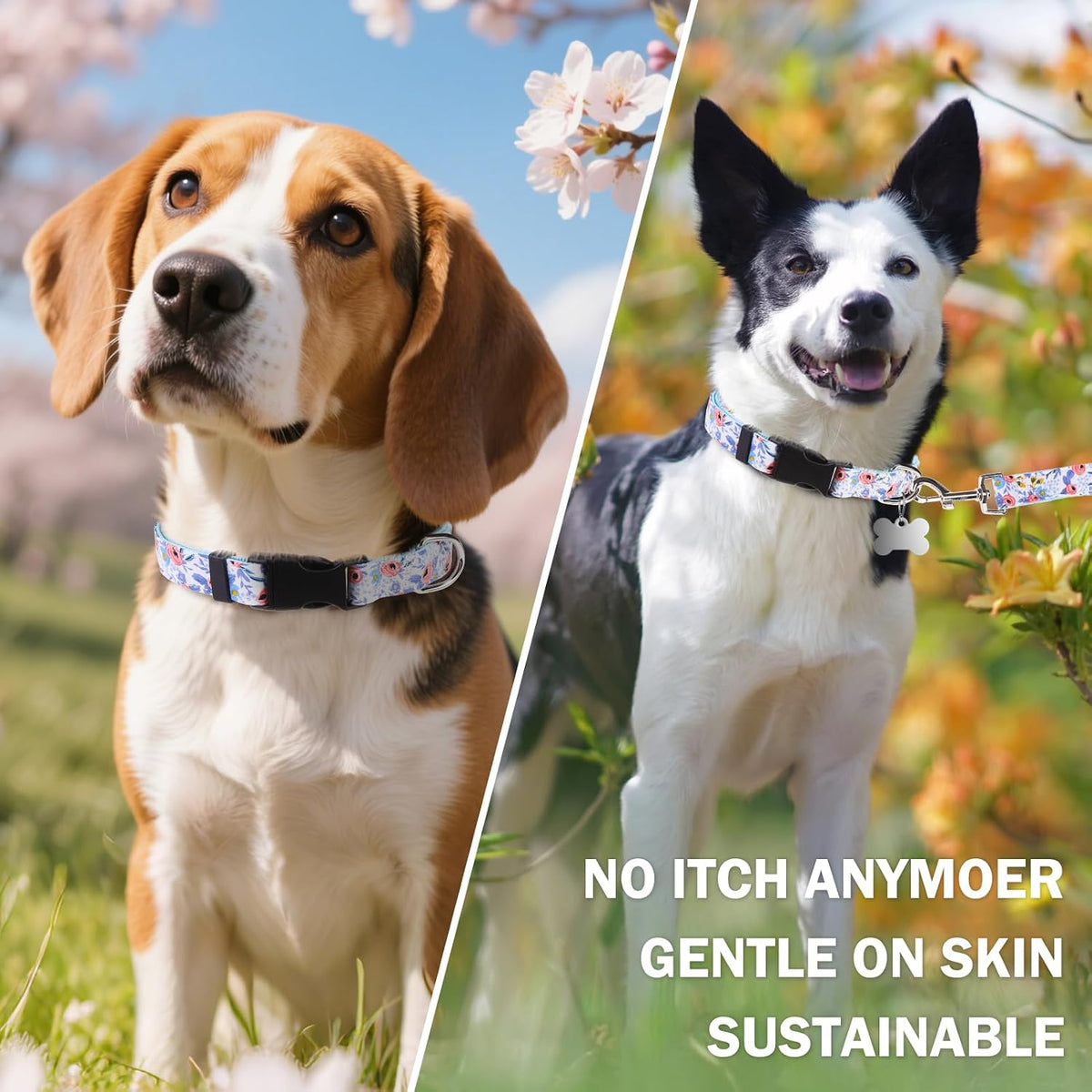Dog Collar and Leash Set, Adjustable Pet Collars with 5FT Leash