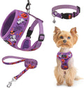 SCENEREAL Halloween Small Dog Harness and Leash Set