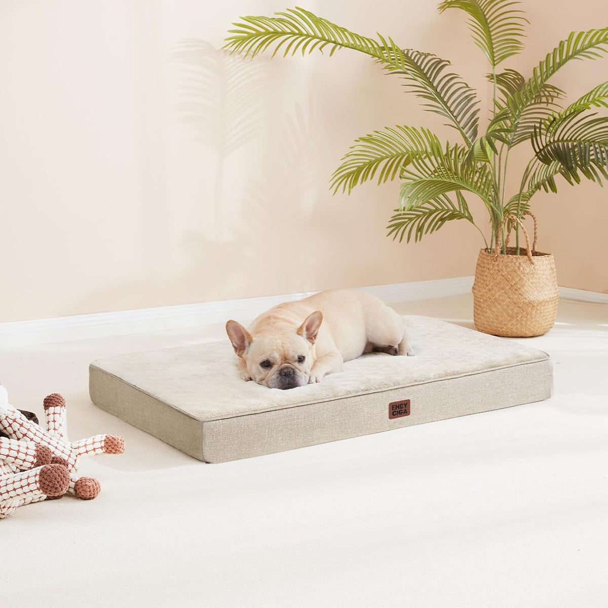 EHEYCIGA XXL Washable Dog Crate Bed with Memory Foam, 47x29Inch, Beige