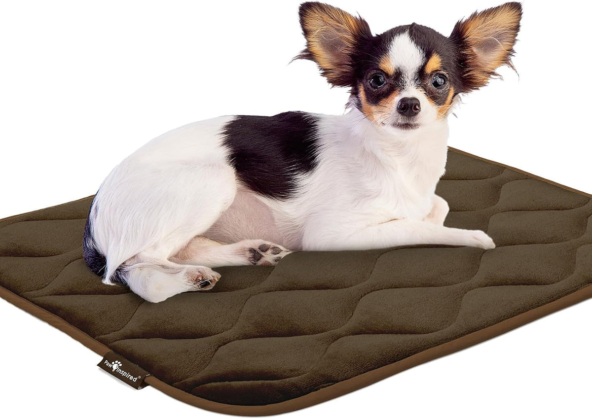 Paw Inspired Washable Padded Crate Mats for Dogs | 23" x 17" Pad, Fits 24-inch Kennels | Leakproof, Waterproof Bottom, Plush Pet Beds (Dark Brown)