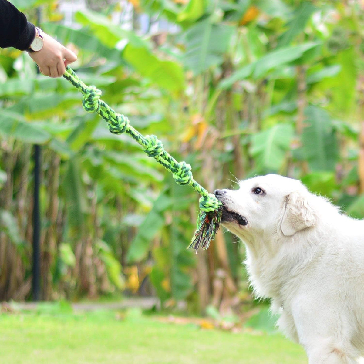 SHARLOVY Dog Toys for Large Dogs and Aggressive Chewers | Indestructible XL Durable Dog Toy,5-Knot Rope Tug,Heavy Duty Chew Sturdy Cotton Knot Rope Toy for Large Breed Dogs