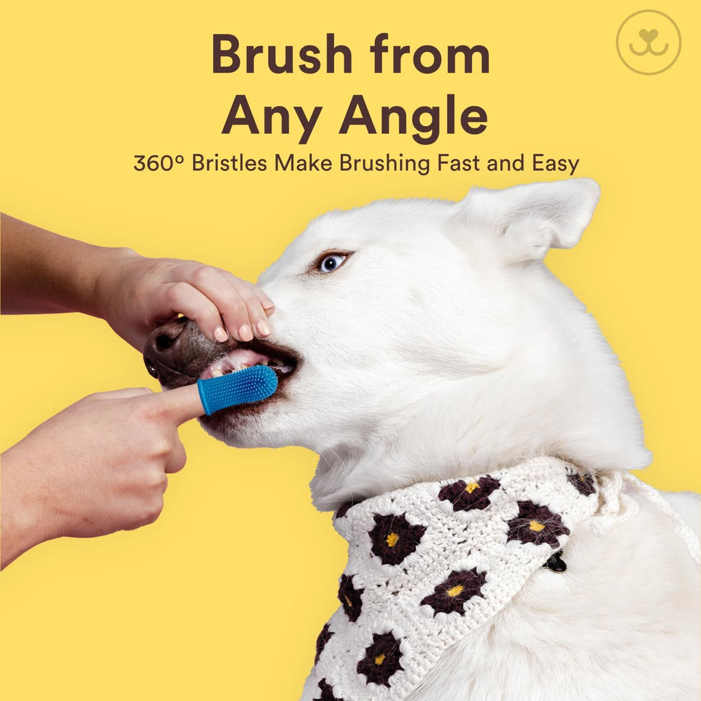 Jasper Large Dog Toothbrush, 360 Degree Pet Tooth Brushing Kit, Cat Toothbrush, Canine Dental Care & Teeth Cleaning Kit, Pet Finger Tooth Brush, Use with Dog Toothpaste, 2-Pack Navy-Blue Large