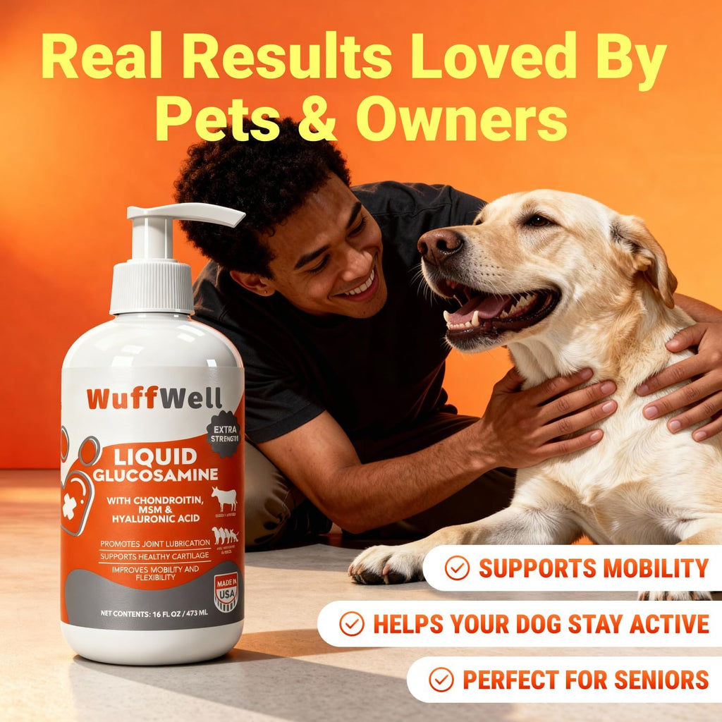 WuffWell Liquid Glucosamine Hip & Joint Support for Dogs, USA Made, 16oz